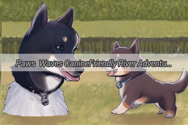 Paws  Waves CanineFriendly River Adventures in Zhengzhou